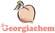 georgio chem logo